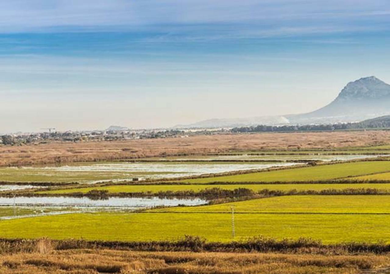 Oliva Holidays 2 Dış mekan fotoğraf